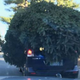 Image for article titled The Strangest And Dumbest Things That Happened To Cars In 2017